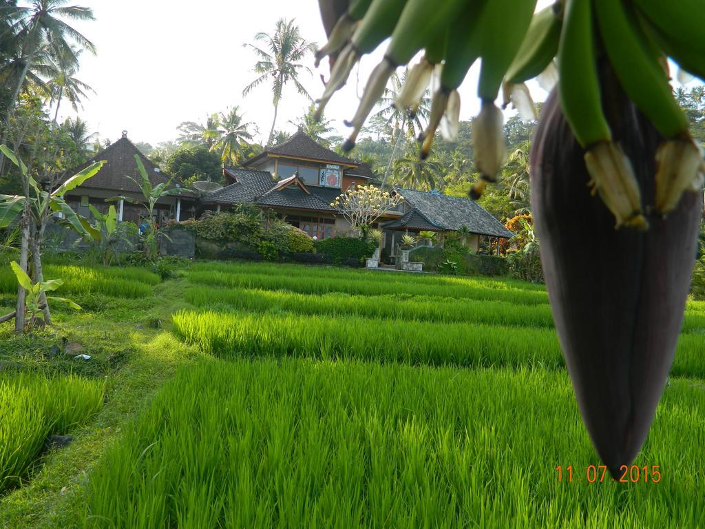 Dau Homestay การางาเซ็ม ภายนอก รูปภาพ