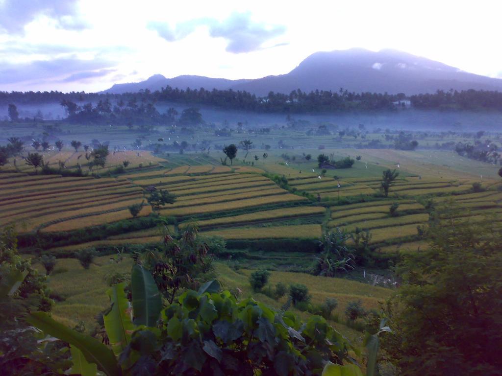 Dau Homestay การางาเซ็ม ภายนอก รูปภาพ